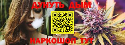 индика Обь