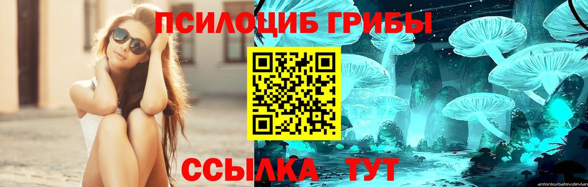 Псилоцибиновые грибы Psilocybe Севастополь
