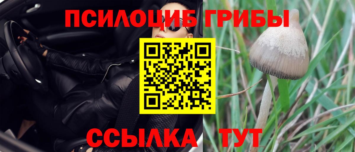 Псилоцибиновые грибы GOLDEN TEACHER  Вход с VPN  Севастополь 